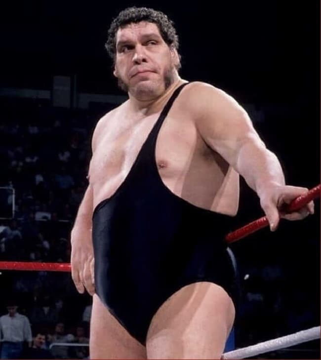 2. André The Giant Top 10 Tallest WWE Wrestlers
