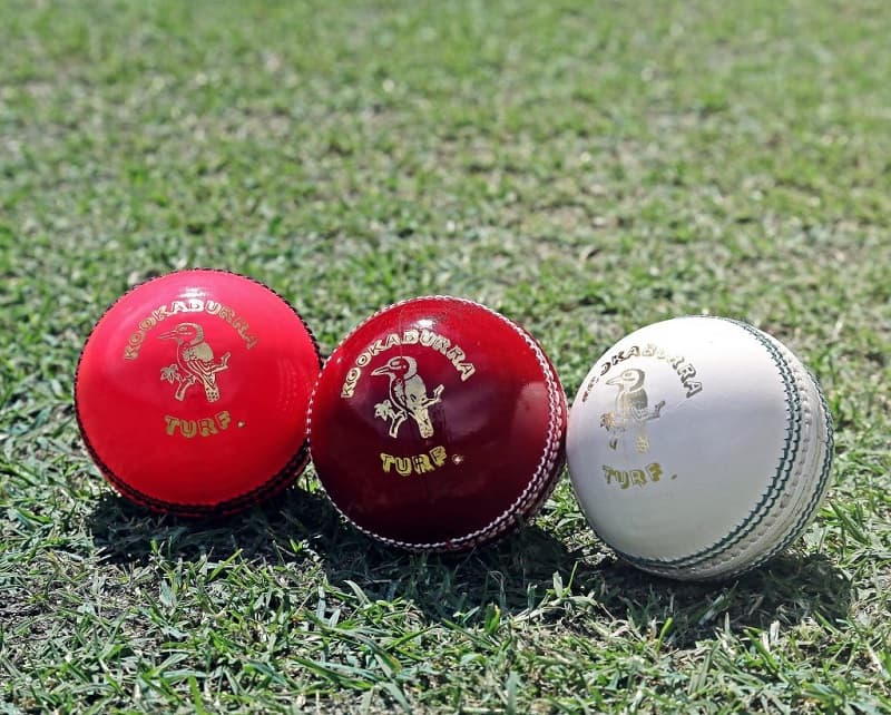 Cricket Ball Type