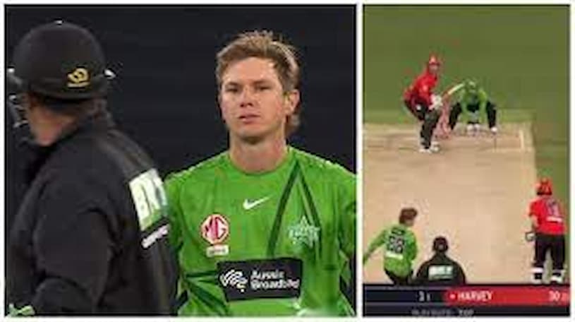 Watch: In the BBL, Adam Zampa's Ashwin-like run-out causes controversy, and the third umpire awards a not-out in the face of loud booing.