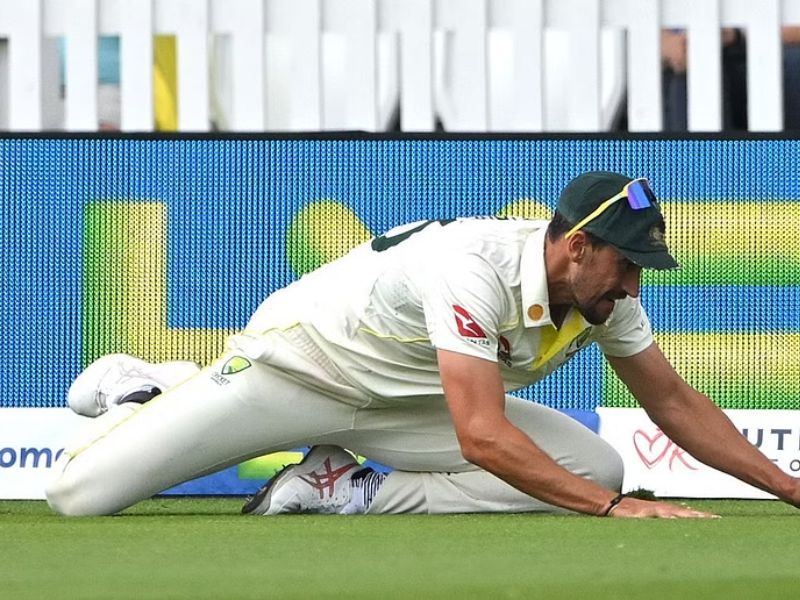 Brad Hogg believes Mitchell Starc's catch was clean because "I still feel his two fingernails were underneath the ball"