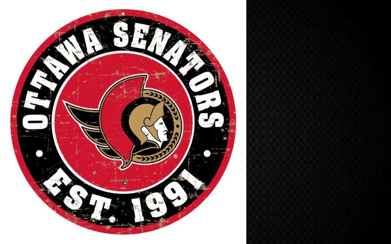 Who Is The New Owner Of Ottawa Senators ? Everything About Michael Andlauer
