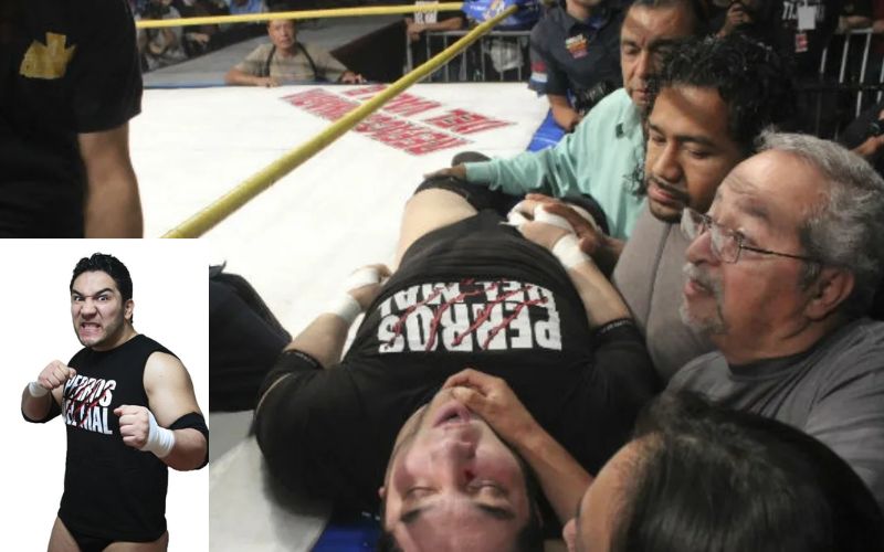 Top 10 WWE Wrestlers That Died In The Ring
