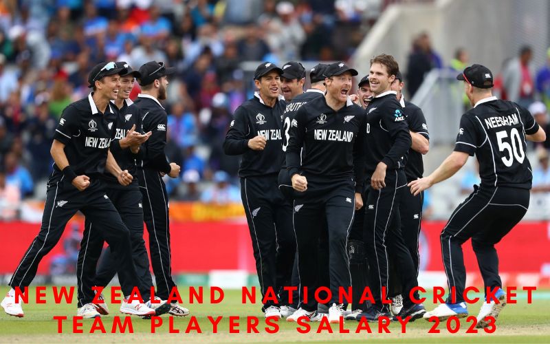 New zealand national cricket team players salary 2023| complete wages detail