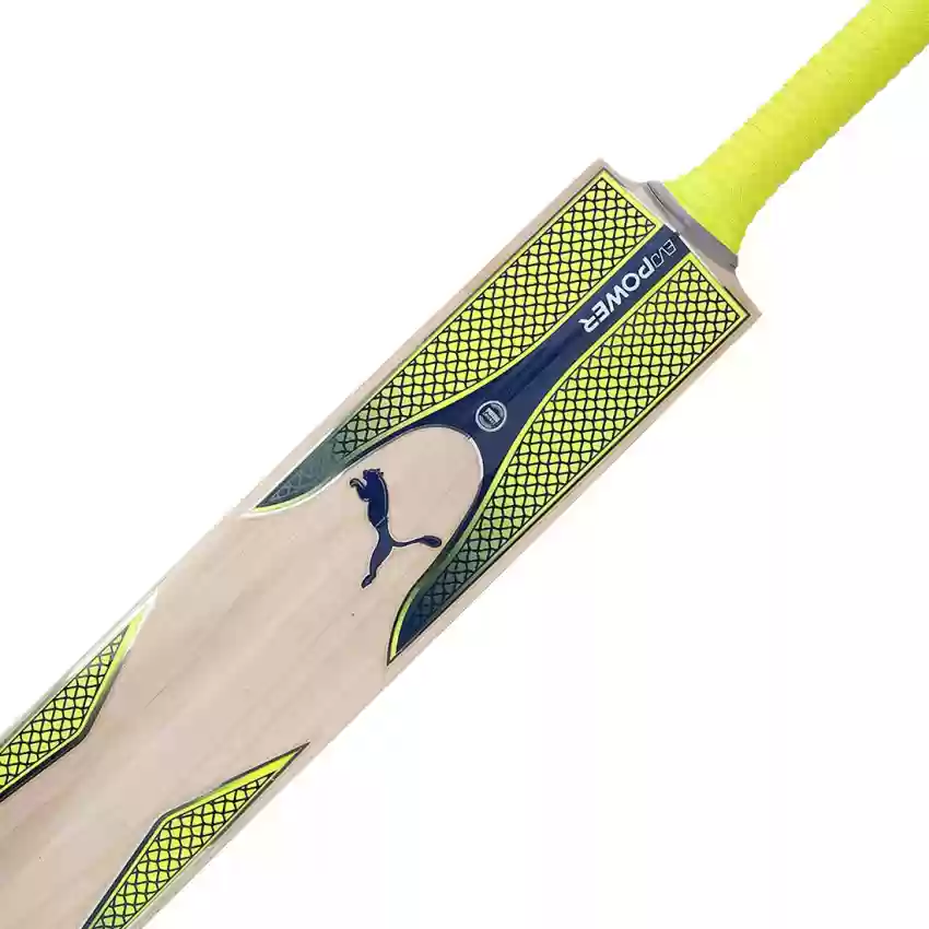 Top 5 Cricket Bat Brands in the World