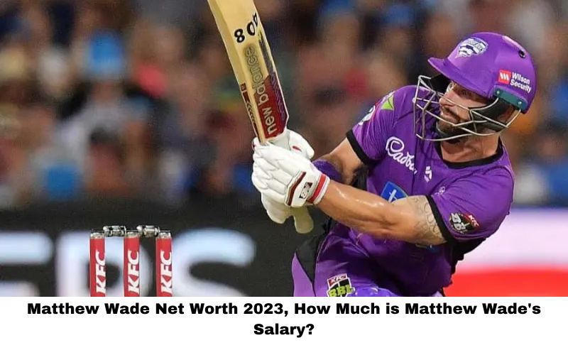 Matthew Wade Net Worth 2023, How Much is Matthew Wade's Salary?